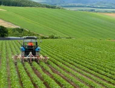 Η κυβέρνηση μοιράζει χωράφια με 5 ευρώ το στρέμμα - Ποιοι είναι δικαιούχοι